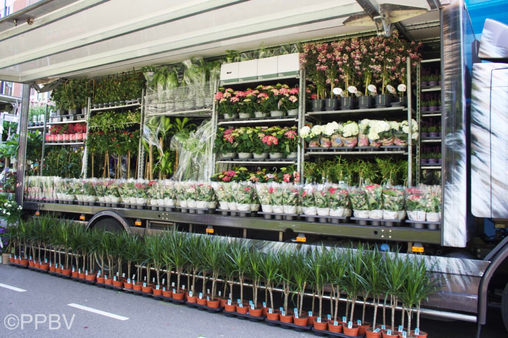 Luilakmarkt Haarlem 2023