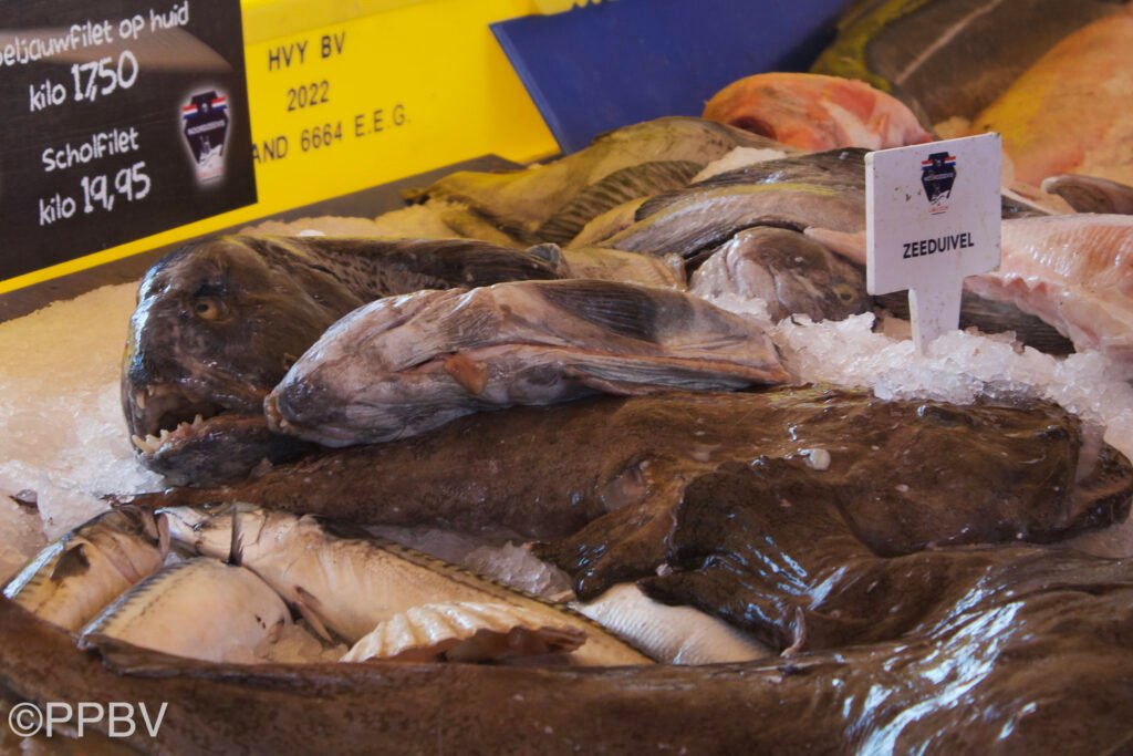 Havenfestival IJmuiden 2023