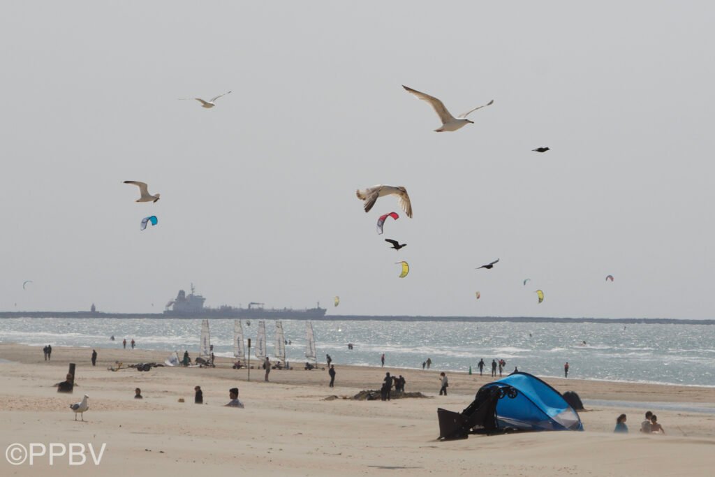 Strand Wijk aan Zee