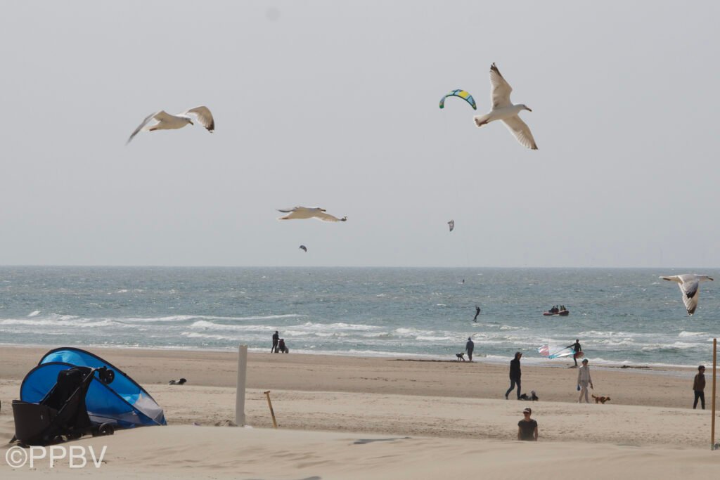 Strand Wijk aan Zee