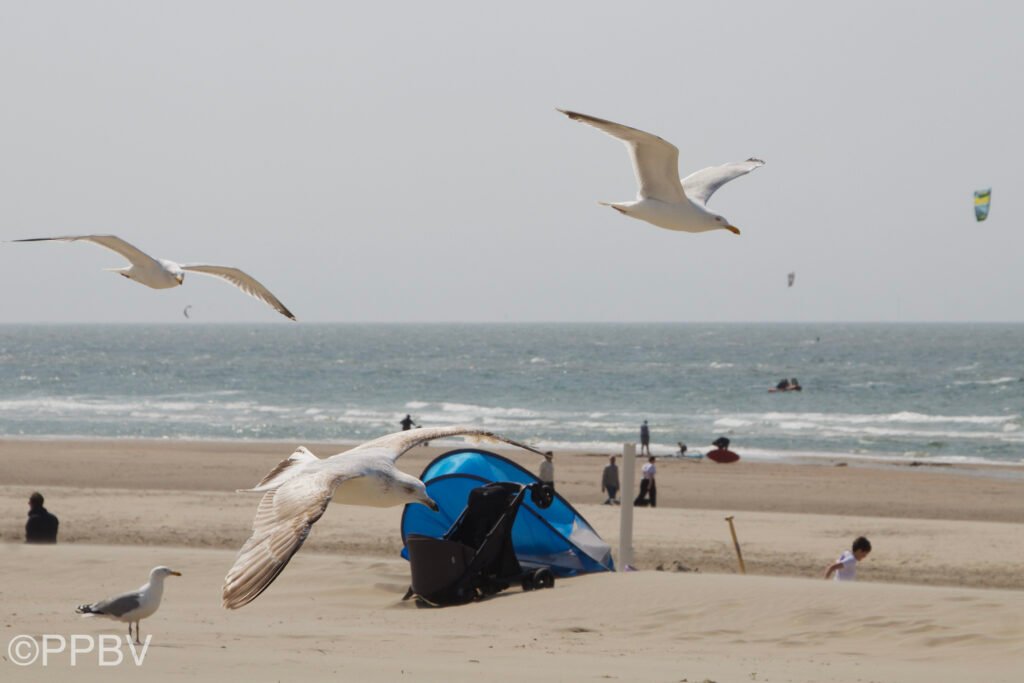 Strand Wijk aan Zee